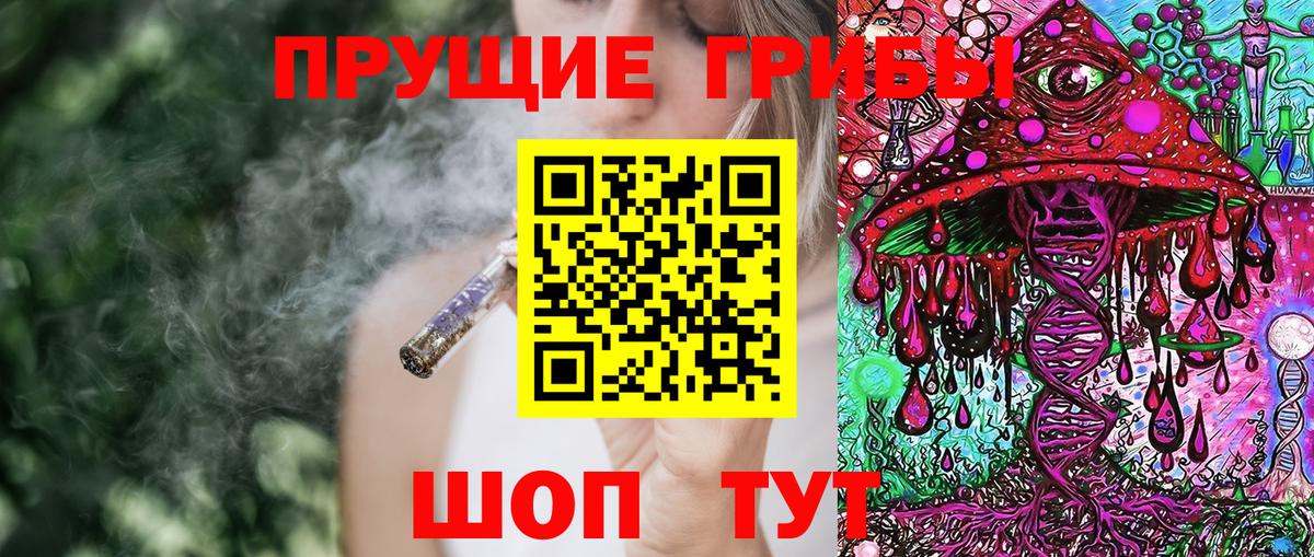 Псилоцибиновые грибы Psilocybine cubensis Саки